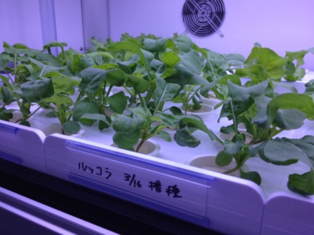 下北沢病院_小分けにされたパネル